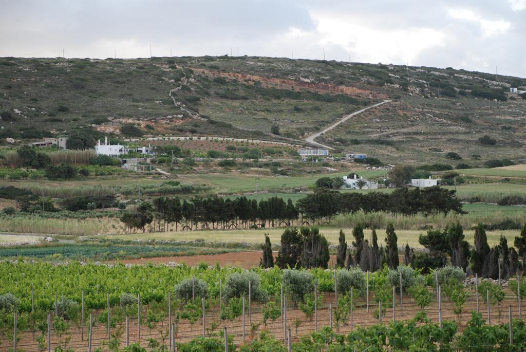 Villa Kampos Naousa-Marpisa Ambelas Exteriör bild