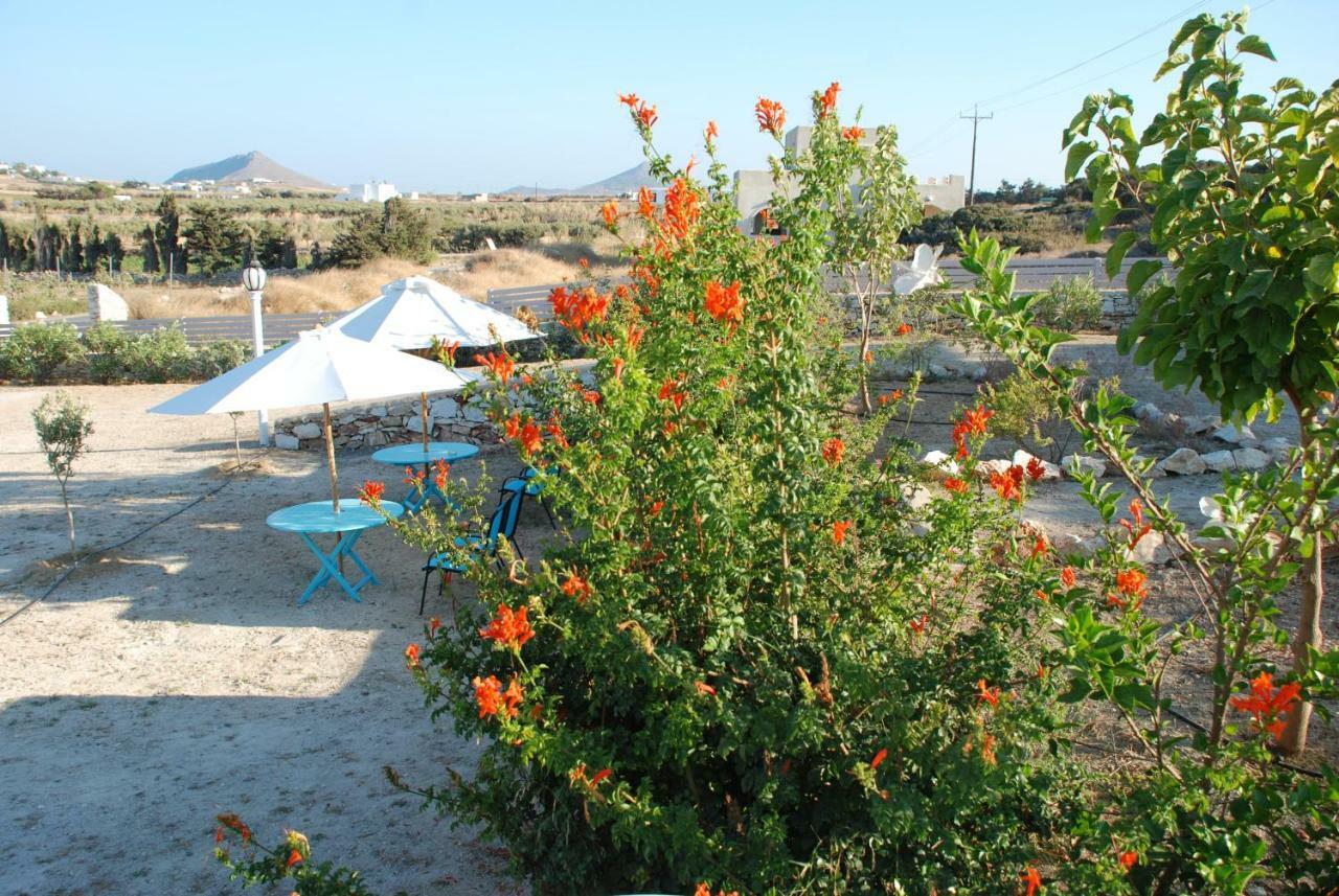 Villa Kampos Naousa-Marpisa Ambelas Exteriör bild