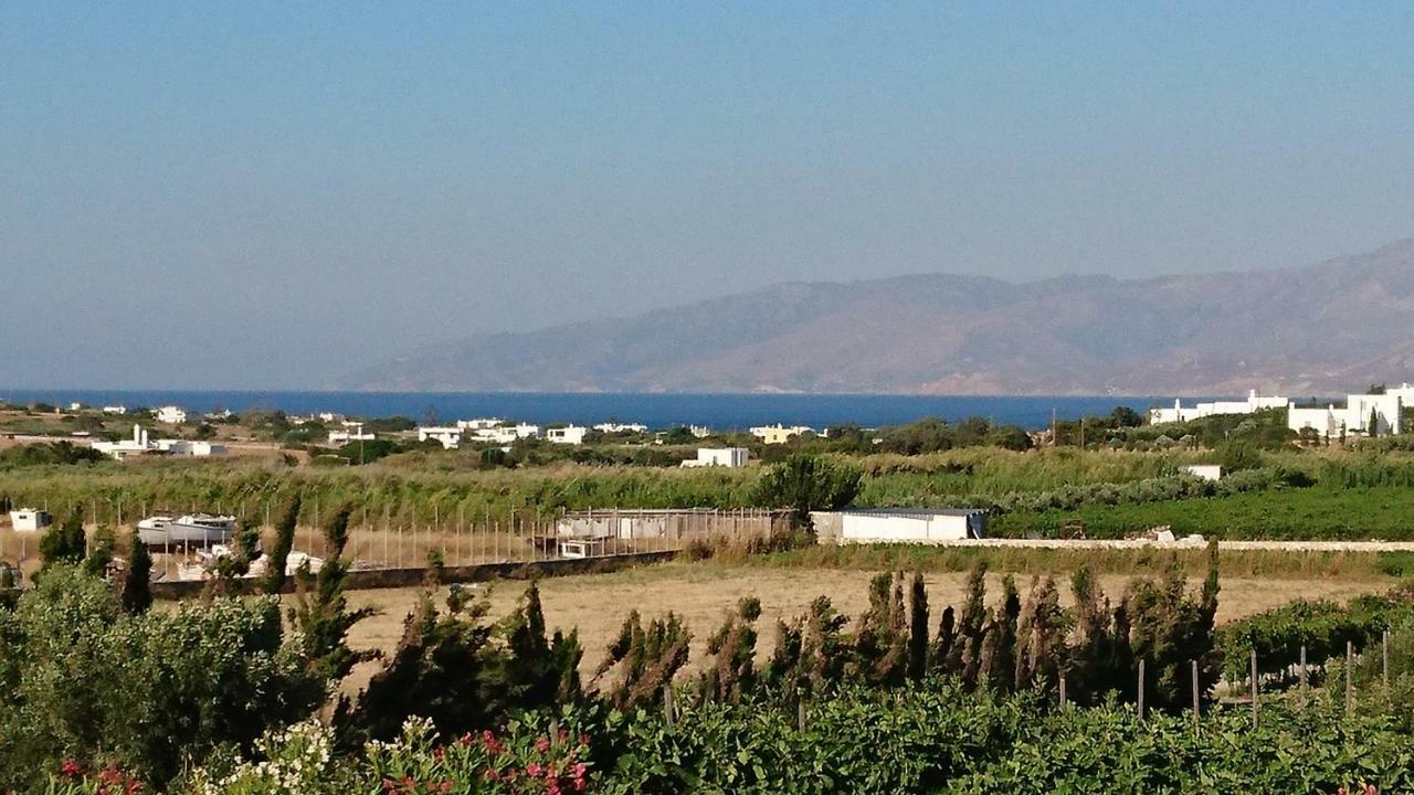 Villa Kampos Naousa-Marpisa Ambelas Exteriör bild