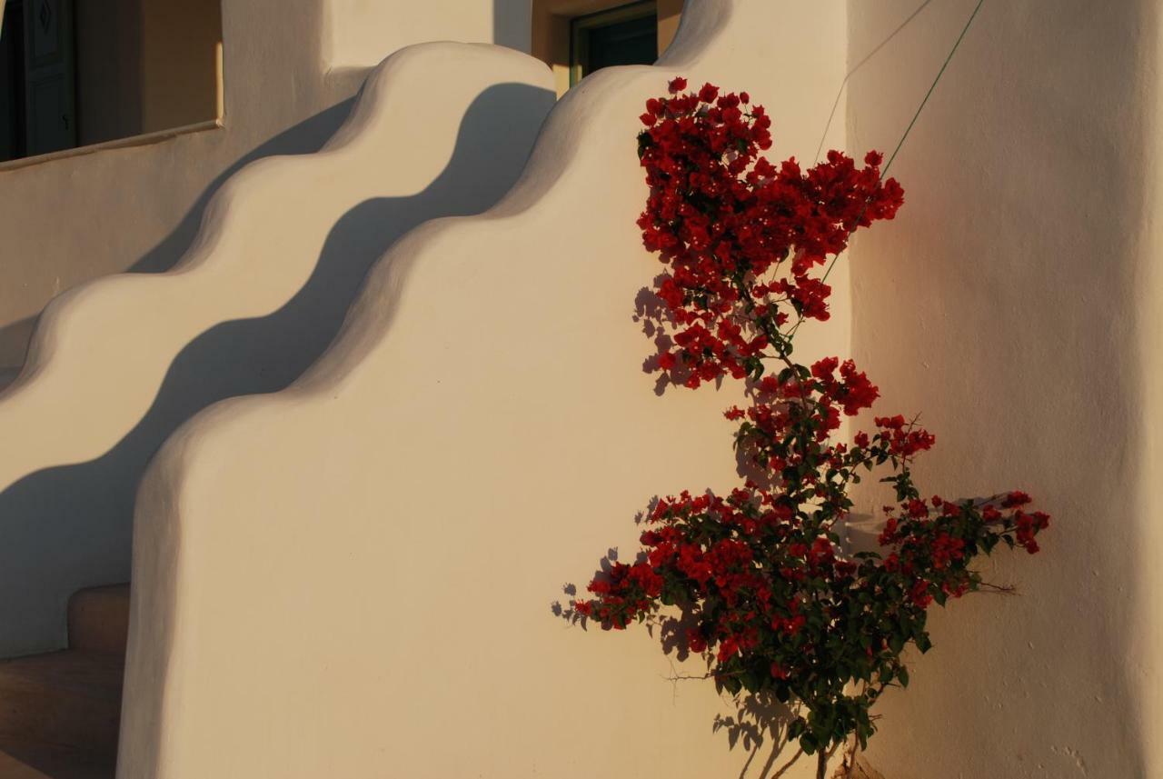 Villa Kampos Naousa-Marpisa Ambelas Exteriör bild