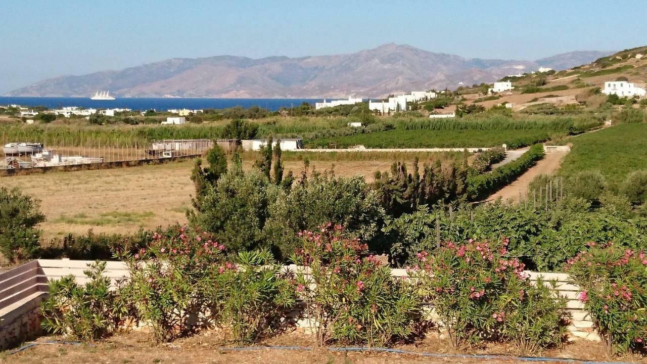 Villa Kampos Naousa-Marpisa Ambelas Exteriör bild